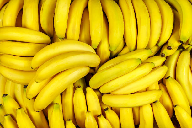 Premium bananas from Kerala